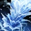 Nautilus R